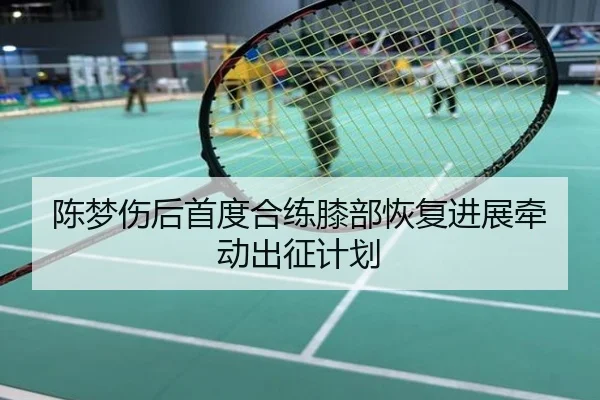 陈梦伤后首度合练膝部恢复进展牵动出征计划